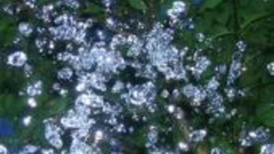 Индийский геологический центр будет добывать алмазы