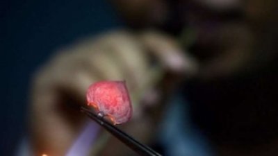 В Приамурье собираются сделать особую экономическую зону