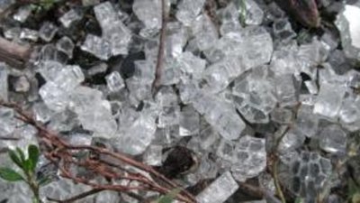 Министр финансов Зимбабве хочет направить доходы от алмазодобычи на финансирование выборов