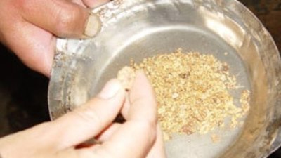 18 золотодобывающих предприятий планируют добыть 6132 кг золота