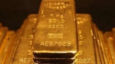 Система пробирного надзора США