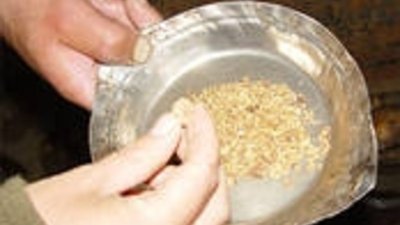 Иркутская обл увеличит добычу только с разработкой Сухого Лога