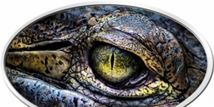 «Глаз крокодила» - монета с ультравысоким рельефом