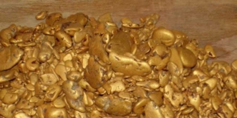 Минприроды объявит аукцион на разработку месторождения россыпного золота в Костромской области в IV квартале 2013г