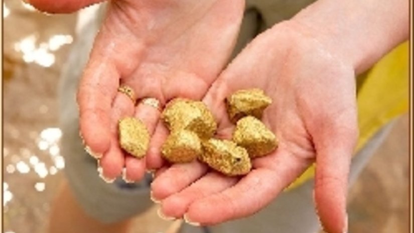 Томская область намерена возродить золотодобычу