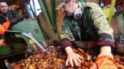 Калининградские переработчики янтаря получили в 2,5 раза больше сырья, чем годом раньше