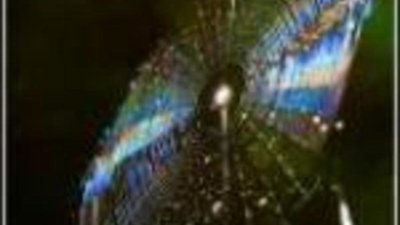 Самый дорогой в мире компакт-диск