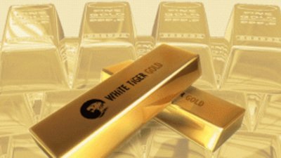 Свернет ли золотодобычу White Tiger Gold