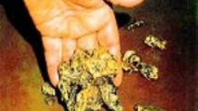 На Урале планируют индивидуальные туры за золотом и изумрудами