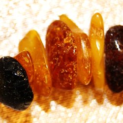 Янтарь Калининградский (ООО "Марина")