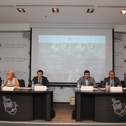 Сибирские ломбарды устойчиво растут