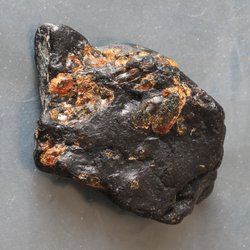 Калининградский музей янтаря пополнился древнейшими фрагментами окаменевшего дерева с вкраплениями янтаря