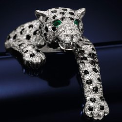 Дорогие и прекрасные