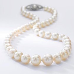 Несколько мировых рекордов установлено на аукционе Сотбис