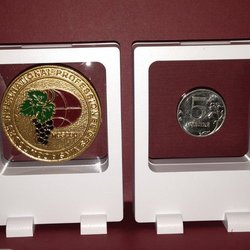 Нестерцова Ольга Владимировна, ИП