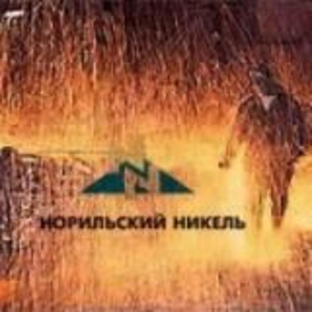 Руководители "Норильского никеля" проведут рабочие встречи