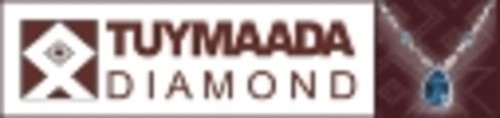 Ювелирная компания "Туймаада Даймонд" направит прибыль за 2008 год в фонд накопления