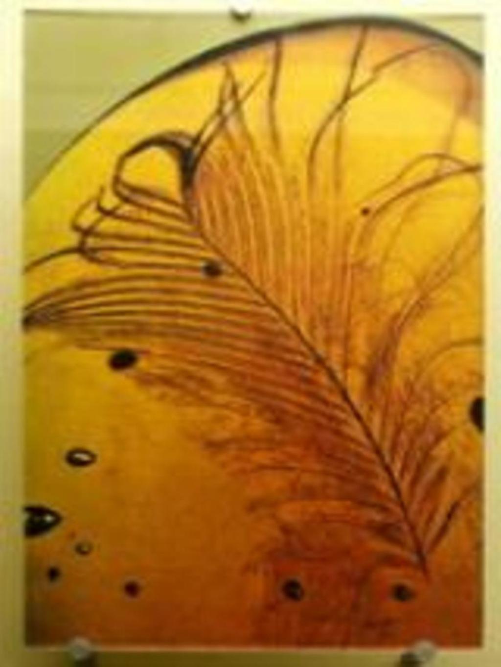 Янтарь – ископаемая окаменевшая смола