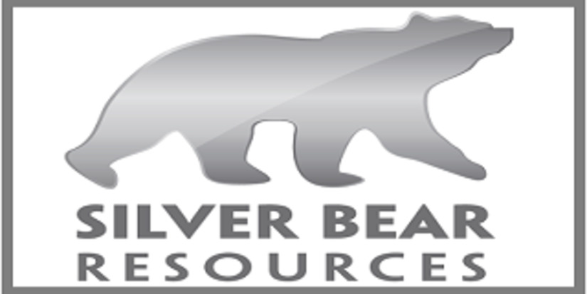 Солидным убытком завершила Silver Bear минувший год