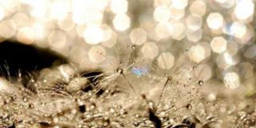 Ботсванский экспорт алмазов в феврале вырос после продолжительного падения